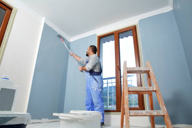 Best Mold Odor Removal Services  in Lomita, CA