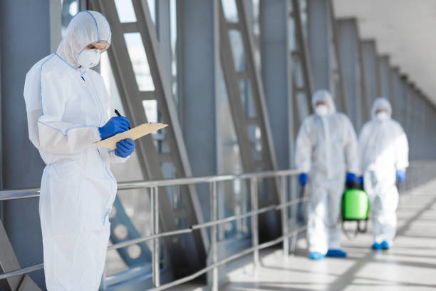 Best Asbestos and Lead Testing During Mold Inspection  in Lomita, CA