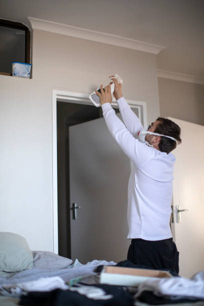 Best Mold Prevention Services  in Lomita, CA