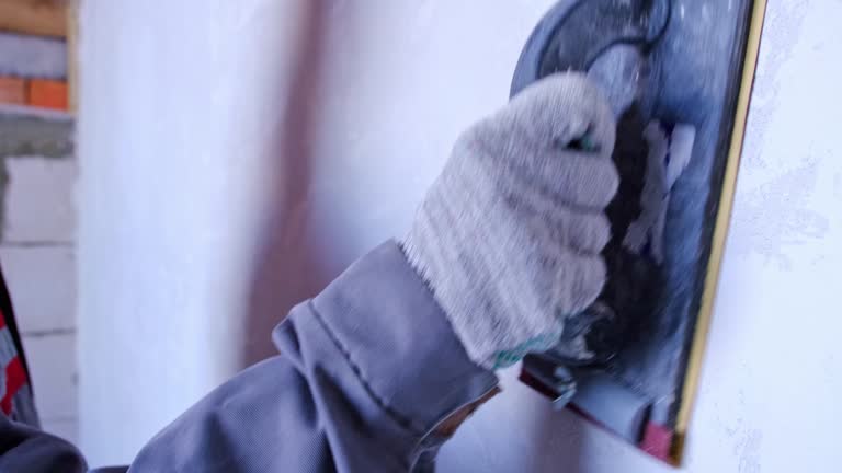 Best Black Mold Removal  in Lomita, CA