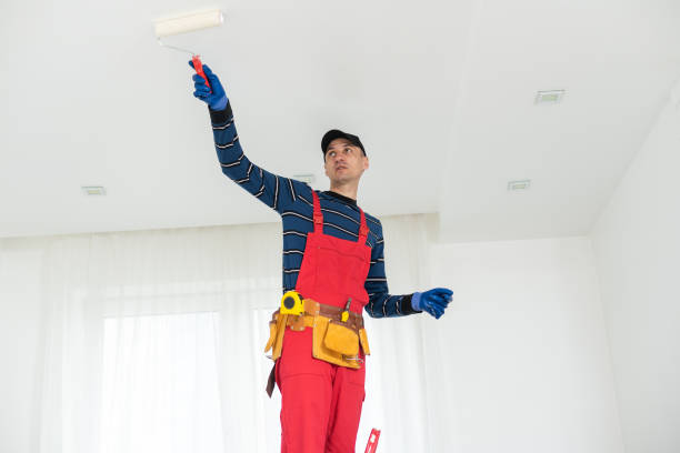 Best Mold Damage Restoration  in Lomita, CA