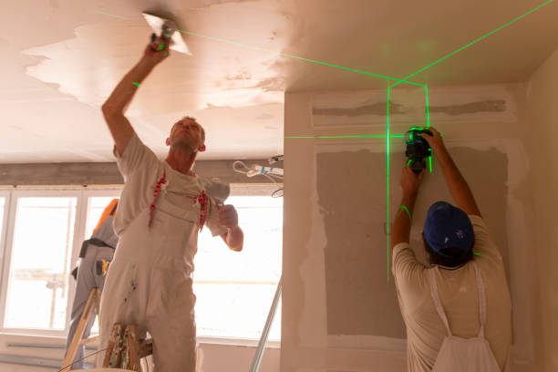 Best Crawl Space Mold Remediation  in Lomita, CA