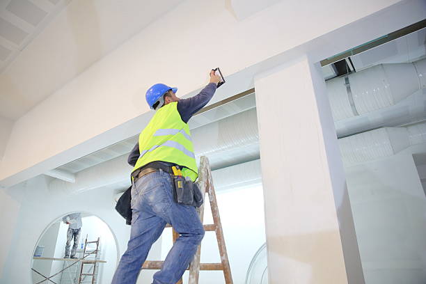 Best Post-Construction Mold Inspection  in Lomita, CA