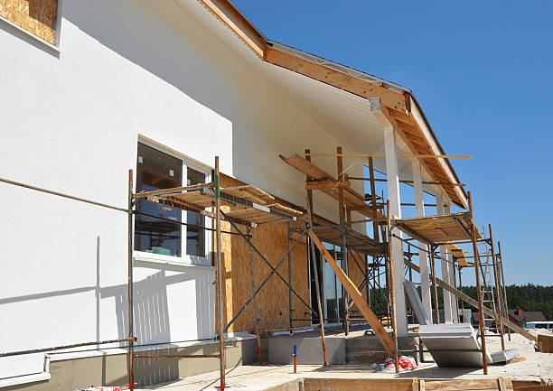 Best Environmental Consulting for Mold Prevention  in Lomita, CA