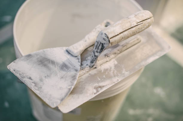 Forensic Mold Investigation in Lomita, CA
